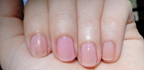 La guerra de los rosas.