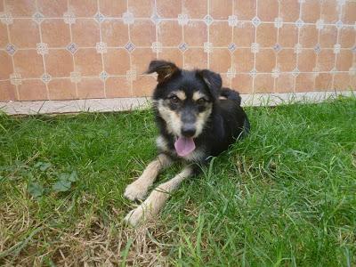 HURACÁN, medianillo, un solete!! (Murcia)