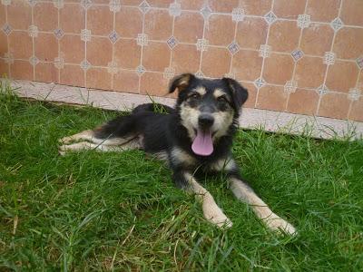 HURACÁN, medianillo, un solete!! (Murcia)