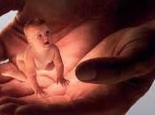 Nacer nuestra propia identidad