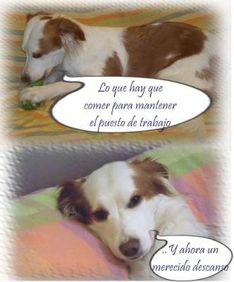 MAS NOTICIAS SOBRE JOSÉ ANTONIO SILVEIRA