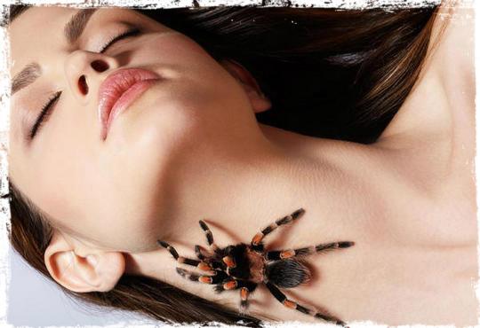 Fobias: Vivir con miedo