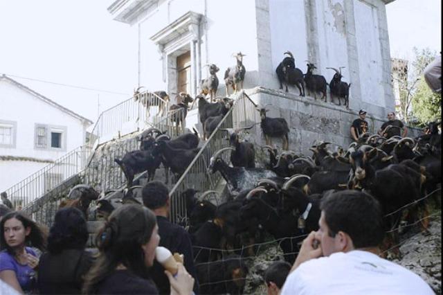 MERCADOS Y FERIAS.............(Arredondo).-