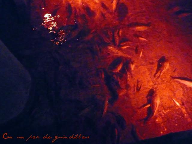 La verdadera historia del Chupacarpas