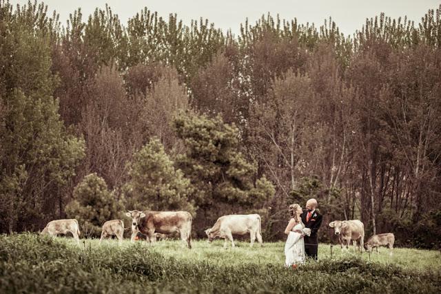 CAL PUNTES - UNA MASIA PERFECTA PARA TU BODA
