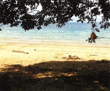 A-cero Projects A-CERO PRESENTA UN COMPLEJO DE VIVIENDAS A-CERO TECH EN PANAMÁ II