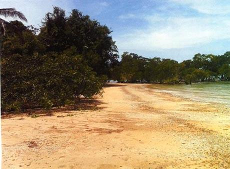 A-cero Projects A-CERO PRESENTA UN COMPLEJO DE VIVIENDAS A-CERO TECH EN PANAMÁ II