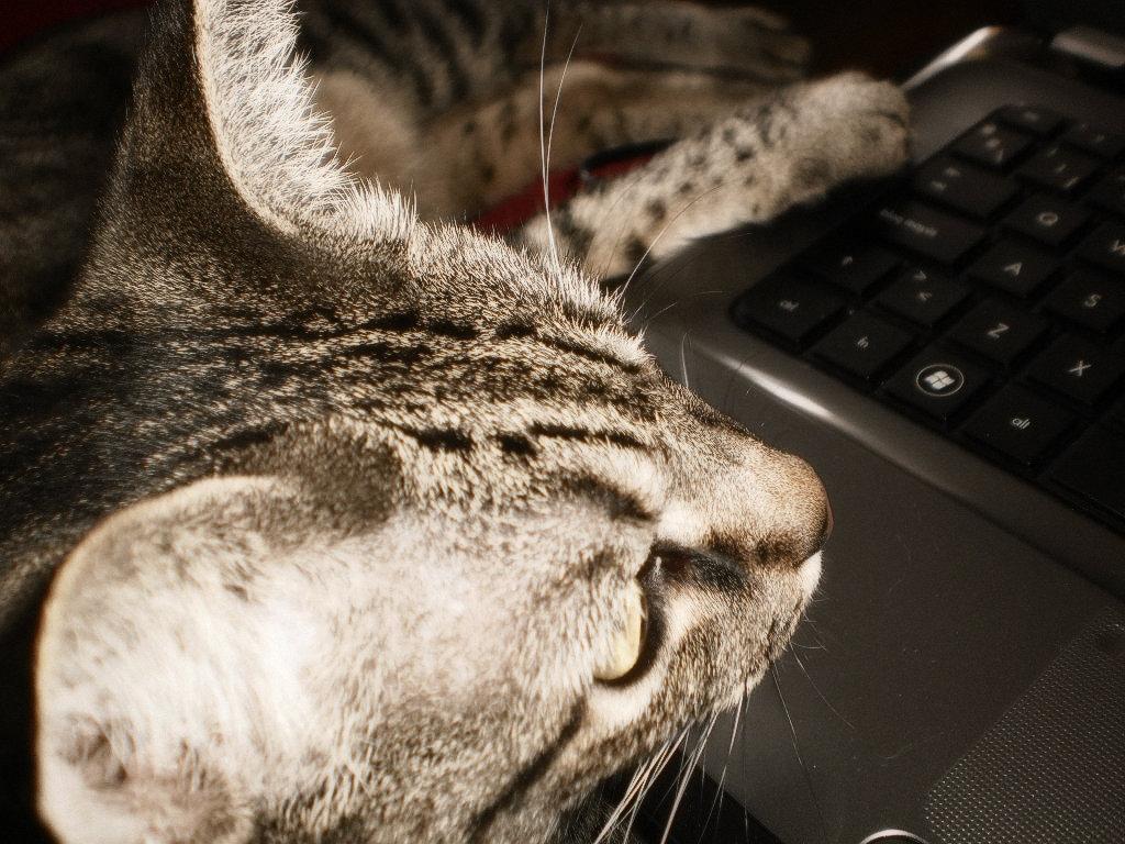 En compañia...Off-Topic