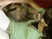 compañia...Off-Topic