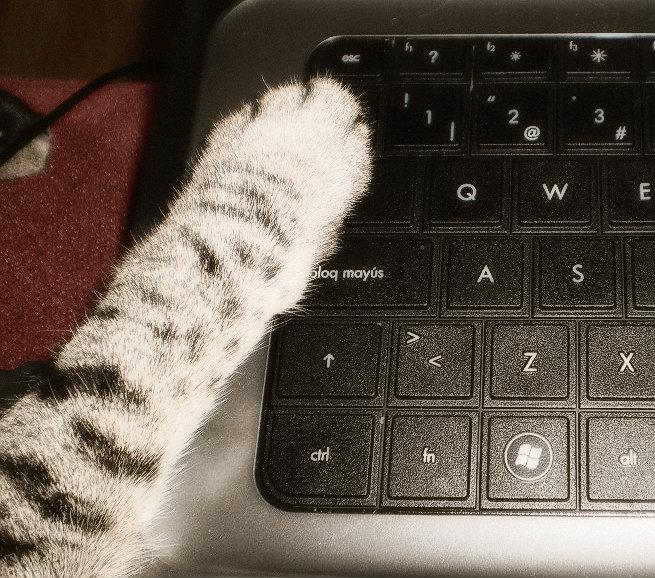 En compañia...Off-Topic