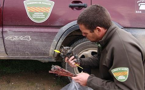 Agentes de Protección de la Naturaleza (APNs) del Gobierno de Aragón persiguen el uso de métodos de caza no selectivos prohibidos por la ley