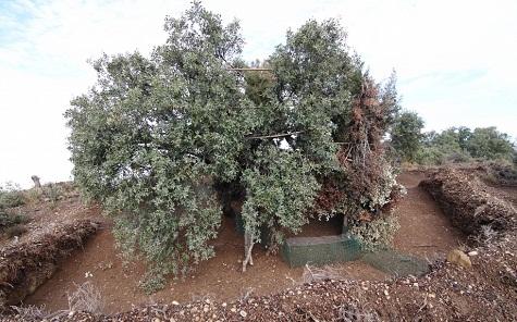 Agentes de Protección de la Naturaleza (APNs) del Gobierno de Aragón persiguen el uso de métodos de caza no selectivos prohibidos por la ley