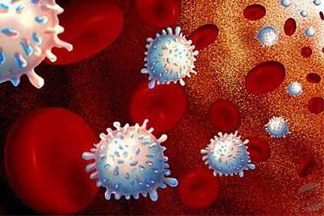 Descubren Nuevo Tratamiento contra el Cancer