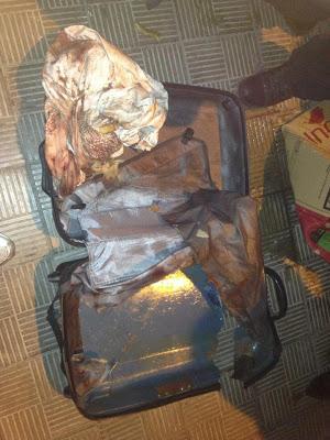 PERRA ENCONTRADA EN UNA MALETA EN SANTA CRUZ DE TENERIFE !!!