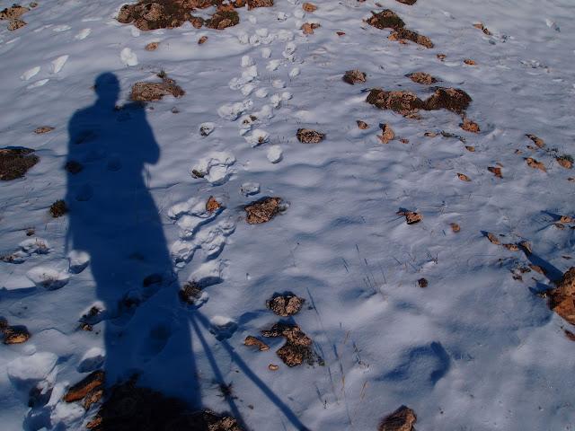 ruta circular a los lagos de somiedo