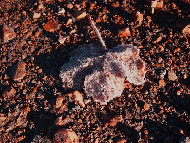 ruta circular a los lagos de somiedo