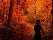 ¡¡Por todos Santos!!...