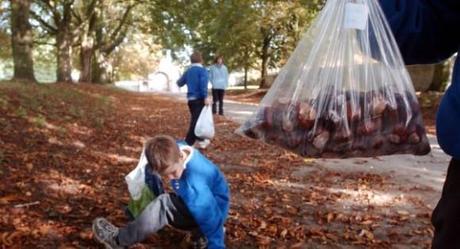 Niños y castañas