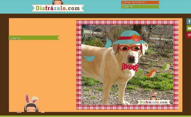 disfrazarlo perro Una divertida web para disfrazar las fotos