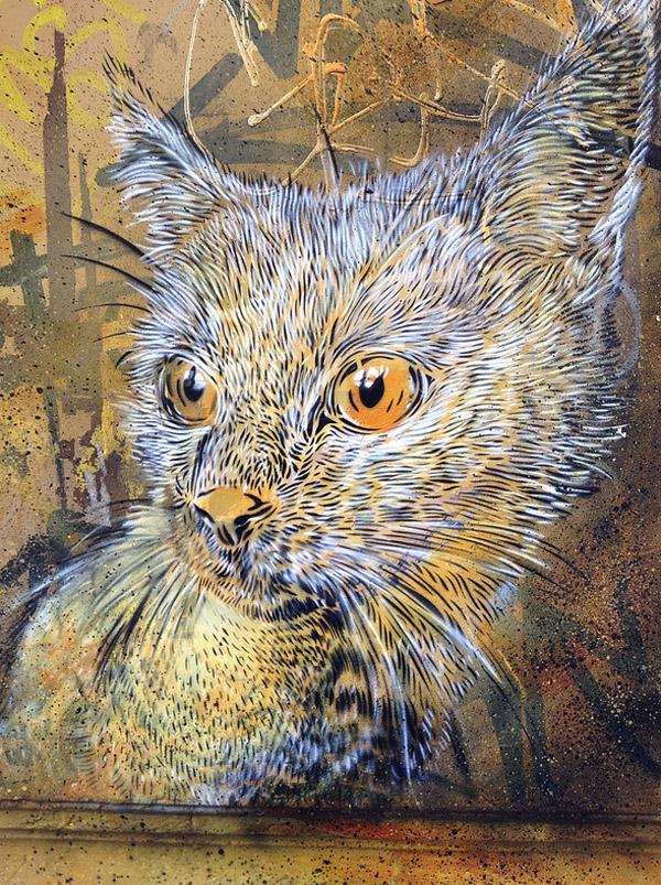 c215