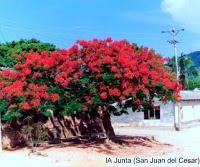 San Juan del Cesar, La Guajira, Tierra mía, en fotografia