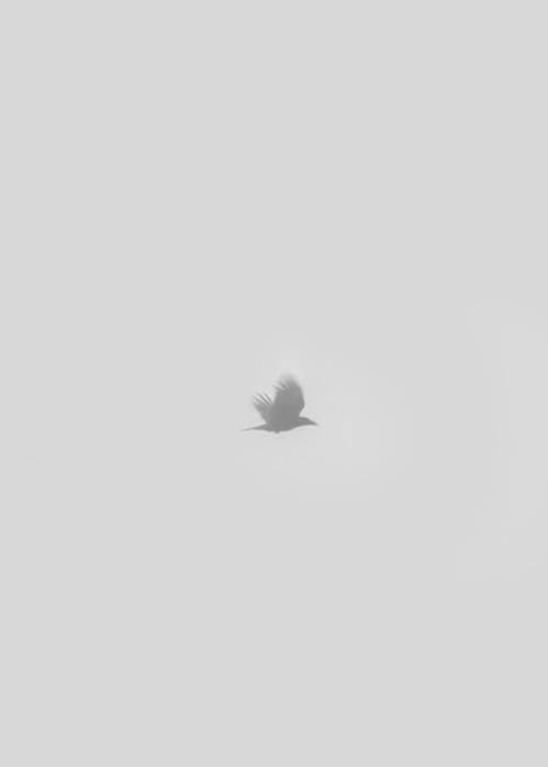 Para los que ya no están...