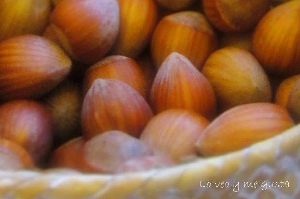 Carajitos del profesor