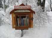 Minibibliotecas gratuitas (Little free libraries)