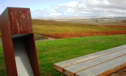 Viñedos desde Buezo Yo estuve en Devora, es Burgos Parte I