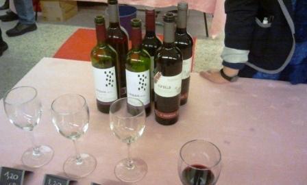 Vinos de la Bodega Ortega Fournier Yo estuve en Devora, es Burgos Parte I