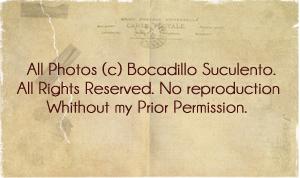 ¡Cuídense de los Plagios!