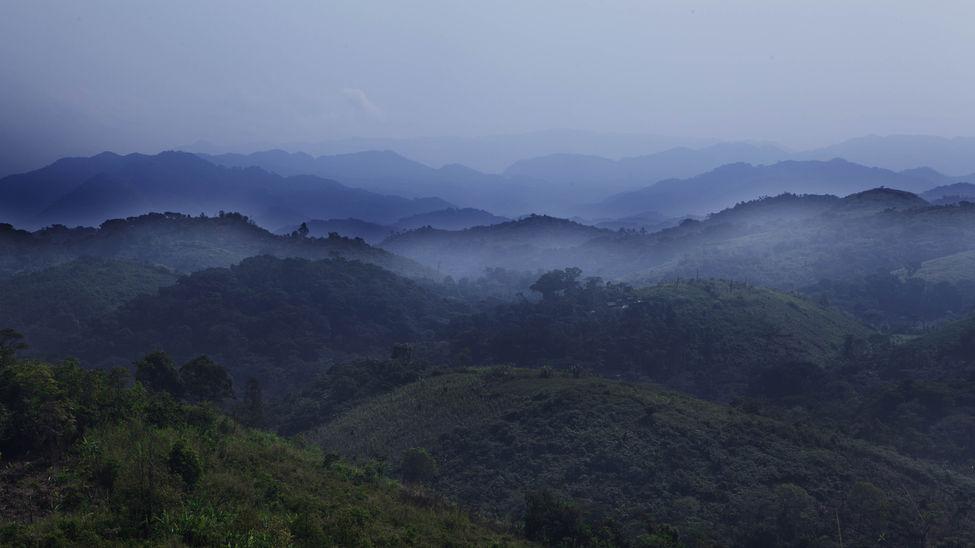 Las personas que han conseguido llegar hasta los campos de desplazados representan una pequeña parte del total de desplazados. Muchos se ven obligados a refugiarse en los bosques del interior, sin acceso a atención médica y sin posibilidades de llegar hasta ellos para proporcionársela. 