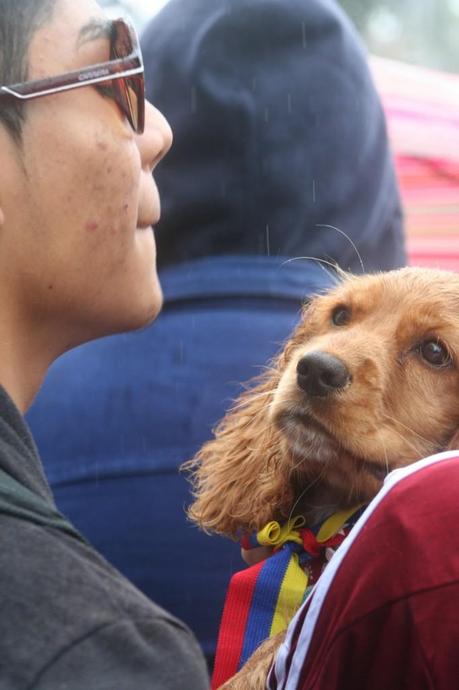 IMG_0516 Algunas imágenes de #VenezuelaDecide en Bogotá