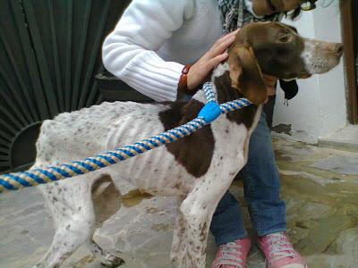 CALMA,CASO DE ABANDONO Y EXTREMA DESNUTRICIÓN!