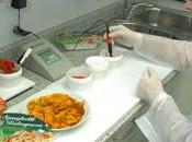 papel del/a nutricionista ¿qué puede hacer