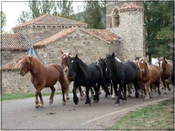 La Feria del Caballo en Pernía