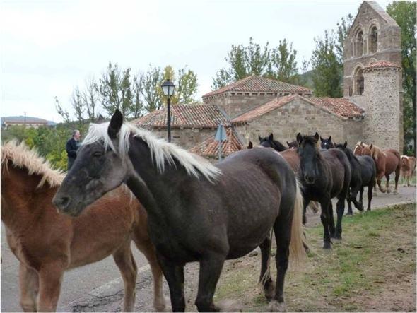 La Feria del Caballo en Pernía