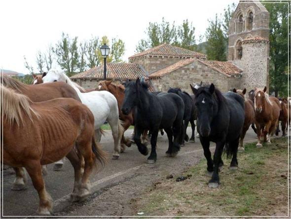 La Feria del Caballo en Pernía