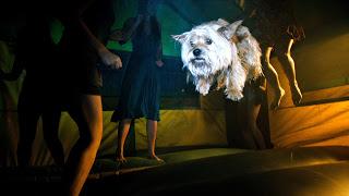 CONCURSO PROJECT X - GANA UN DVD