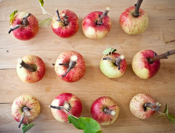 MANZANAS CUBIERTAS DE CARAMELO