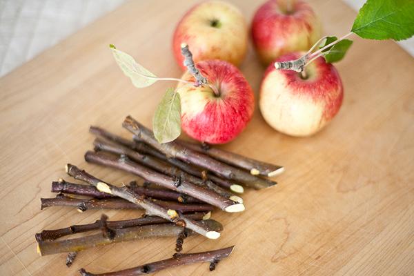 MANZANAS CUBIERTAS DE CARAMELO