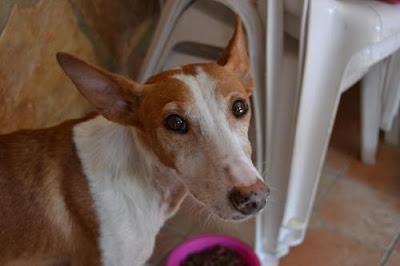 LÍA SU MIRADA ES ESPECIAL, CUANTO DOLOR HA PASADO, YA ES HORA DE QUE CONOZCA LA BONDAD Y EL AMOR.