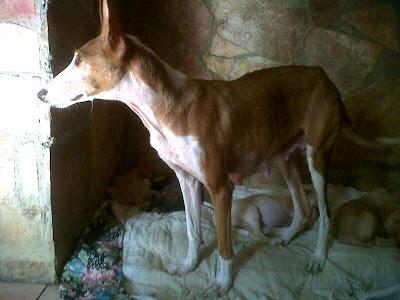 LÍA SU MIRADA ES ESPECIAL, CUANTO DOLOR HA PASADO, YA ES HORA DE QUE CONOZCA LA BONDAD Y EL AMOR.