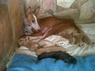 LÍA SU MIRADA ES ESPECIAL, CUANTO DOLOR HA PASADO, YA ES HORA DE QUE CONOZCA LA BONDAD Y EL AMOR.
