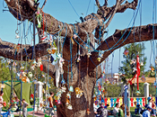 Palabras: lugar ideal gran amigo