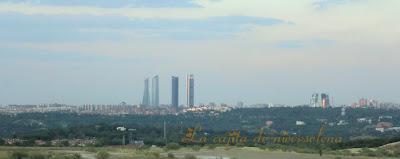 El rey Gambón  - Pozuelo de Alarcón