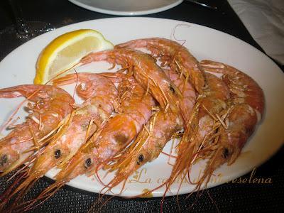 El rey Gambón  - Pozuelo de Alarcón