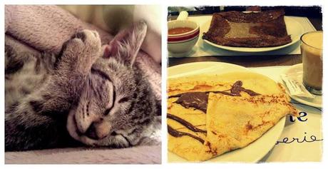 Bye Week! 4/November Bye Week! 4/November