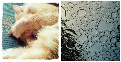 Bye Week! 4/November Bye Week! 4/November