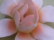 MAGNOLIAS CORTADOR TURORIAL